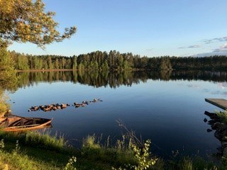 Finnskogstua sommer