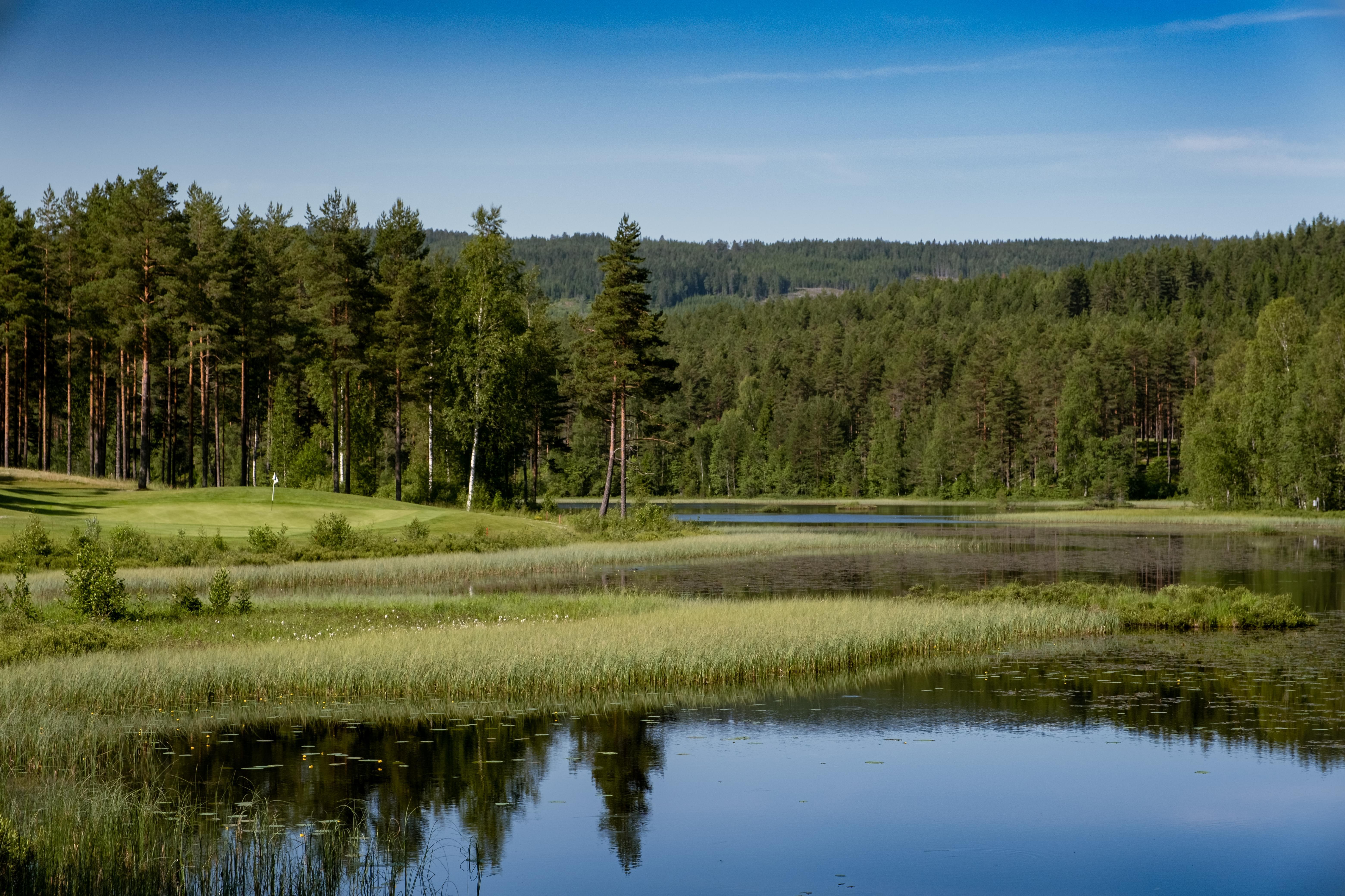 Golfbanen 03
