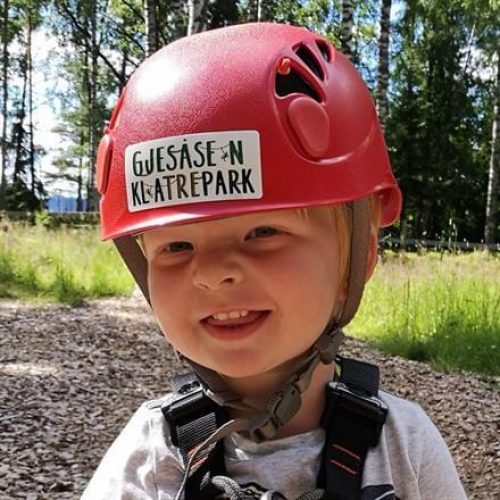 Gjesasenklatrepark